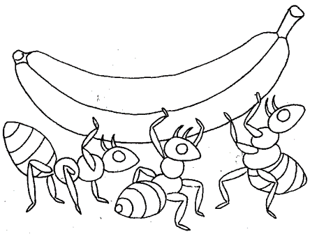  Dibujos de hormigas » HORMIGAPEDIA